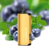 Alibarbar Ingot - Blueberry Mint 9000 Puffs
