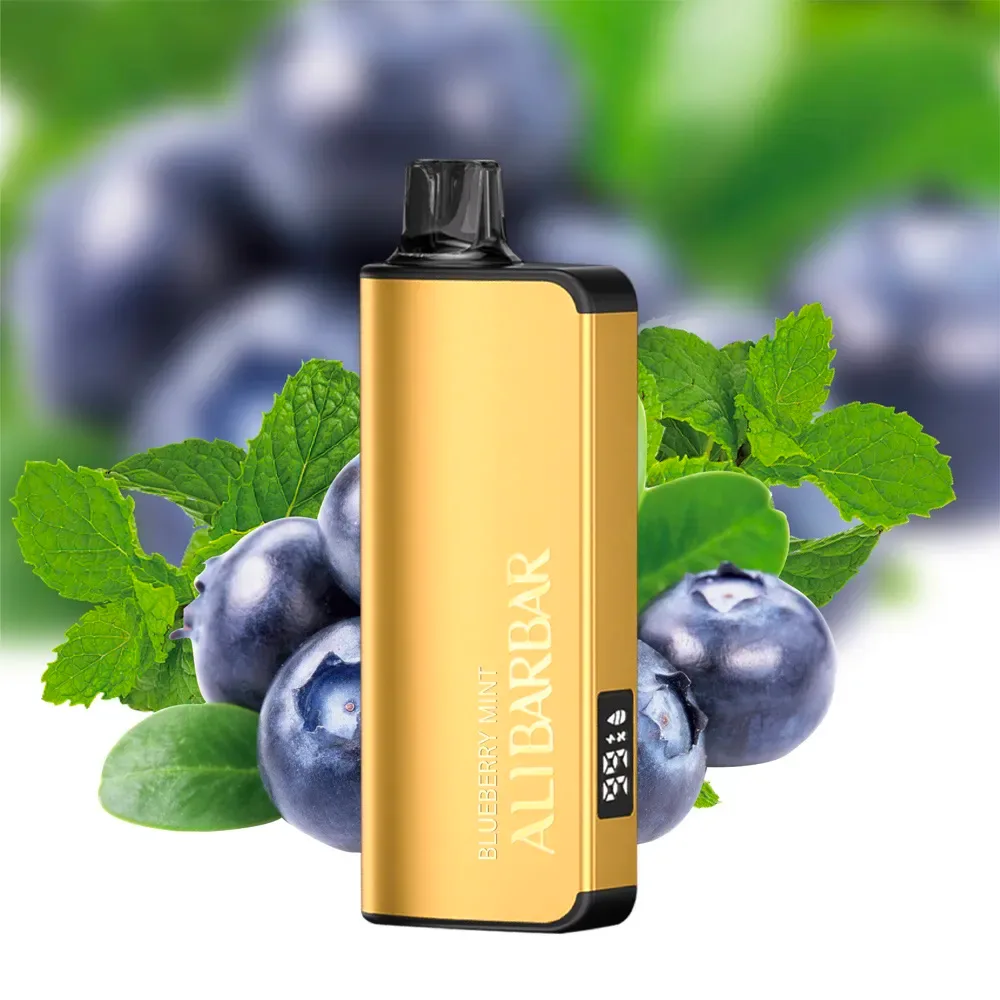 Alibarbar Ingot - Blueberry Mint 9000 Puffs 1 Alibarbar Ingot - Blueberry Mint 9000 Puffs