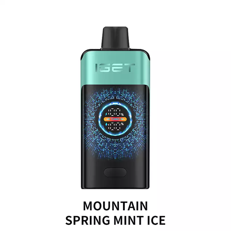 IGET ONE MOUNTAIN SPRING MINT ICE 12000 PUFFS
